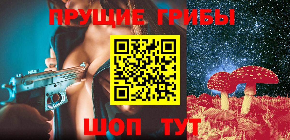 Псилоцибиновые грибы мицелий  продажа наркотиков  Вход с VPN  Усть-Джегута  Галлюциногенные грибы Psilocybe 